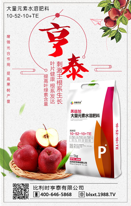 2019核桃多少錢一斤?2020年核桃種植前景怎么樣?種植成本和收益!