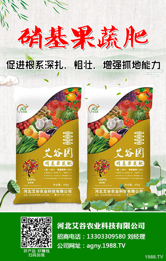 2020年春節(jié)將至!磷銨市場(chǎng)壓力巨大!最新二銨價(jià)格行情走勢(shì)預(yù)測(cè)!