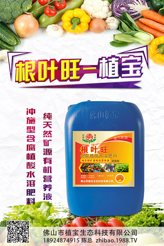 柚子有許多品種,各有各的風味。但眼尖的人會發(fā)現,市面上賣的紅肉蜜柚比普通蜜柚要貴上許多。同樣是柚子,外表看起來也差不多,紅肉蜜柚憑什么比白肉柚子貴?