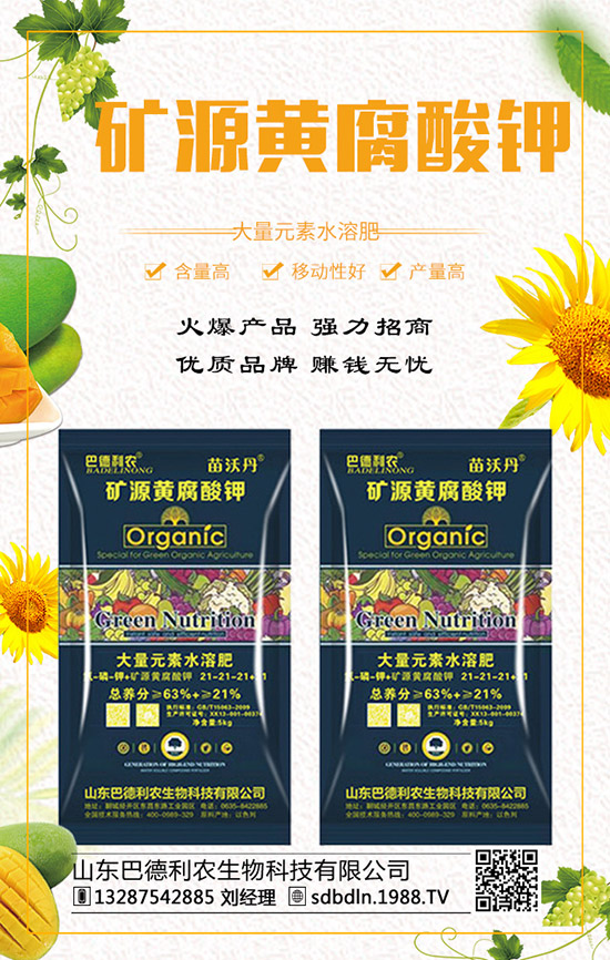 復(fù)合肥行情漲跌互現(xiàn)!2019年12月末最新價(jià)格走勢預(yù)測!