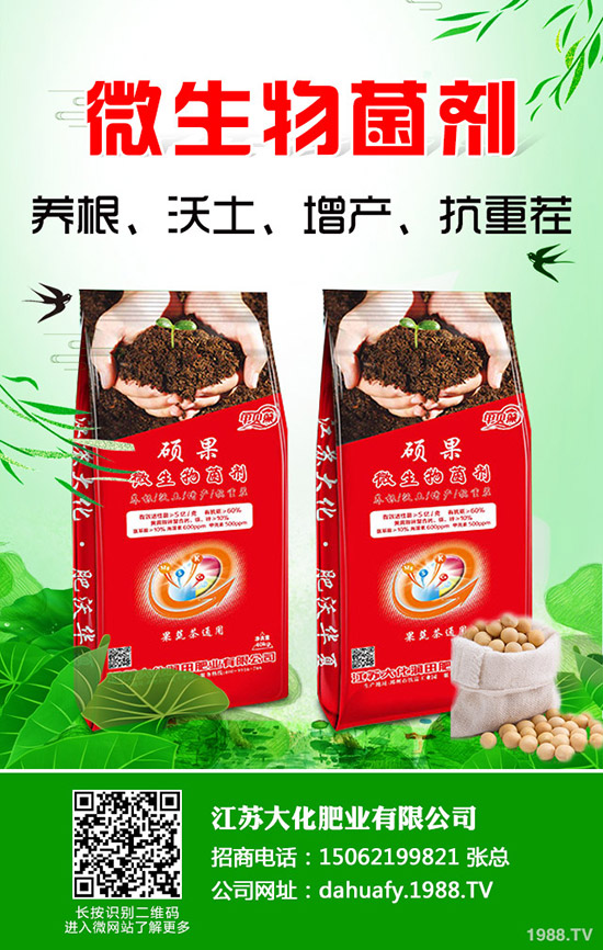 һa(chn)Ƕ2020NֲٍX᣿ǰͳɱ
