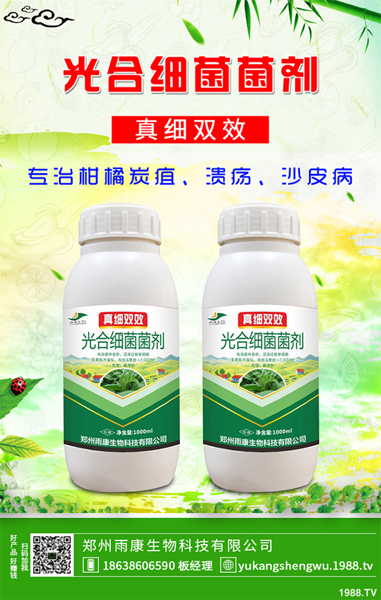 香菇多糖
