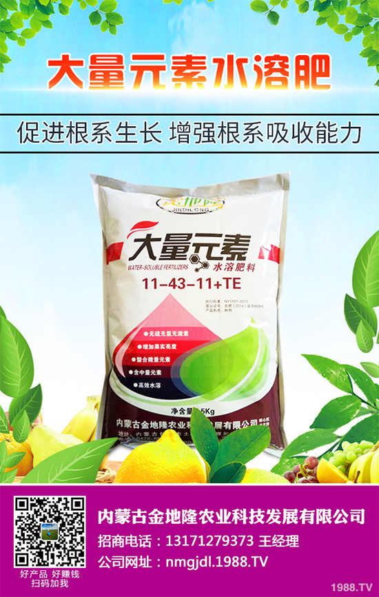 降雪過(guò)后,蔬菜大棚你知道該怎么管理嗎?