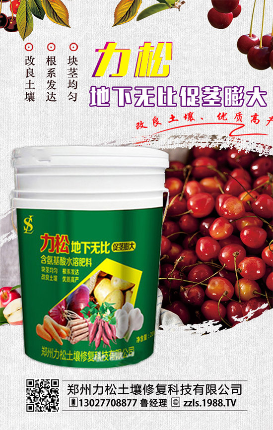 2019-12-4二銨冬儲推進動力不足!二銨價格行情分析快報!