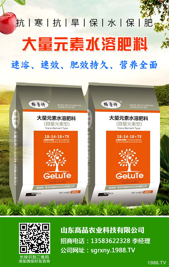 木耳菜如何過冬?木耳菜冬季管理措施