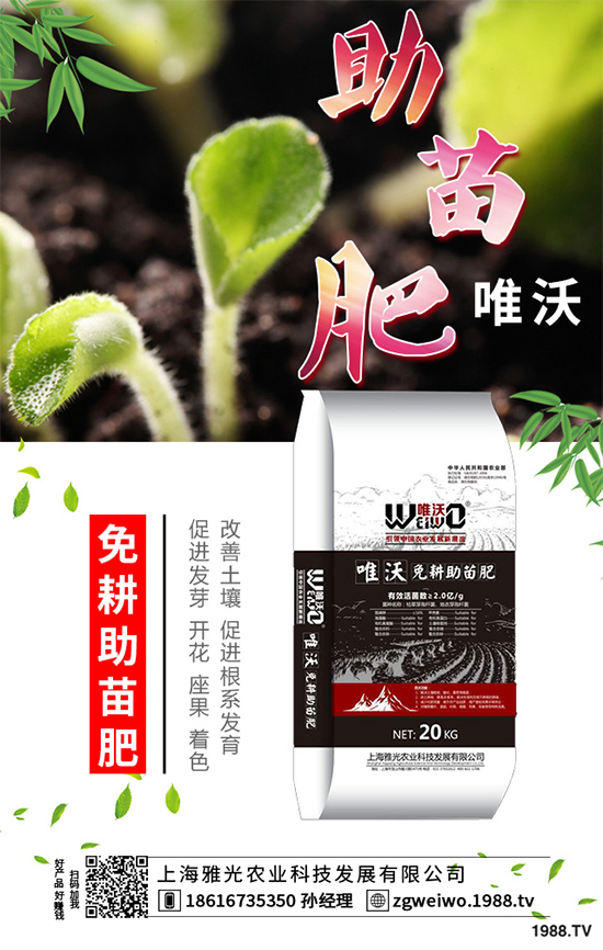 山藥什么時候采收?山藥的貯藏方法有哪些?