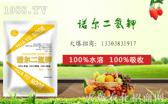 (zhn)ԺZHy1988.TVل(chung)x