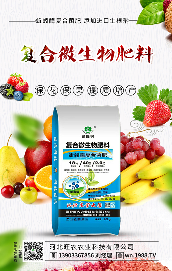 大白菜上的小黑點(diǎn)是什么?如何預(yù)防白菜長黑點(diǎn)呢?