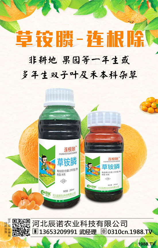 苯噻酰草胺