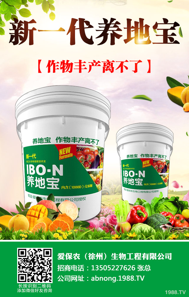 西瓜果形不正怎么辦?西瓜果形不正的防治技巧