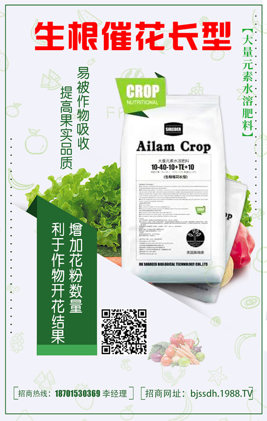 豌豆什么時間種植?豌豆高產(chǎn)種植技術(shù)要點有哪些?