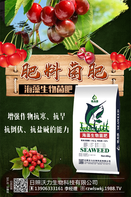 豆角要不要打尖?豆角的打尖方法有哪些?
