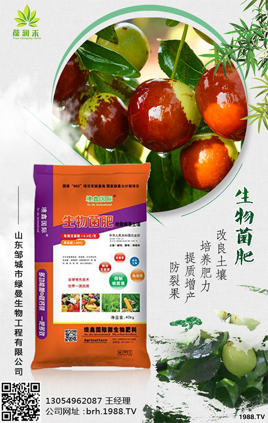 甘蔗是如何種植的,秋植蔗栽培技術(shù)要點(diǎn)有哪些?