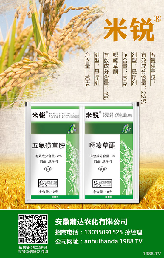 吃菠菜有哪些好處?菠菜的營(yíng)養(yǎng)價(jià)值有哪些?