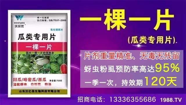 蚜蟲(chóng)、飛虱防不住?一片藥輕松搞定!預(yù)防率95%,持效長(zhǎng)達(dá)120天!