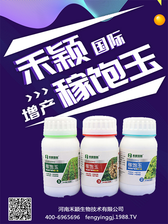 Nֲի@rgNֲLh(hun)