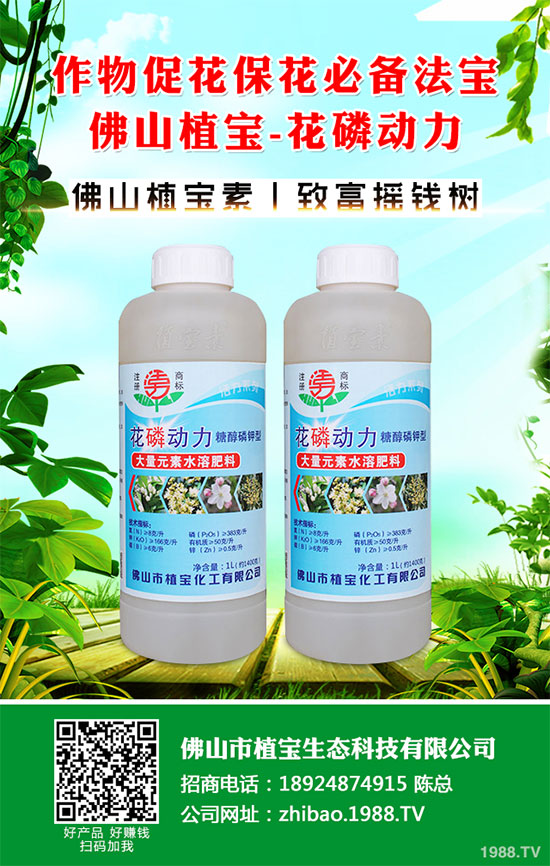 秋季大蔥什么時間種植?2019秋茬大蔥種植技術(shù)指南