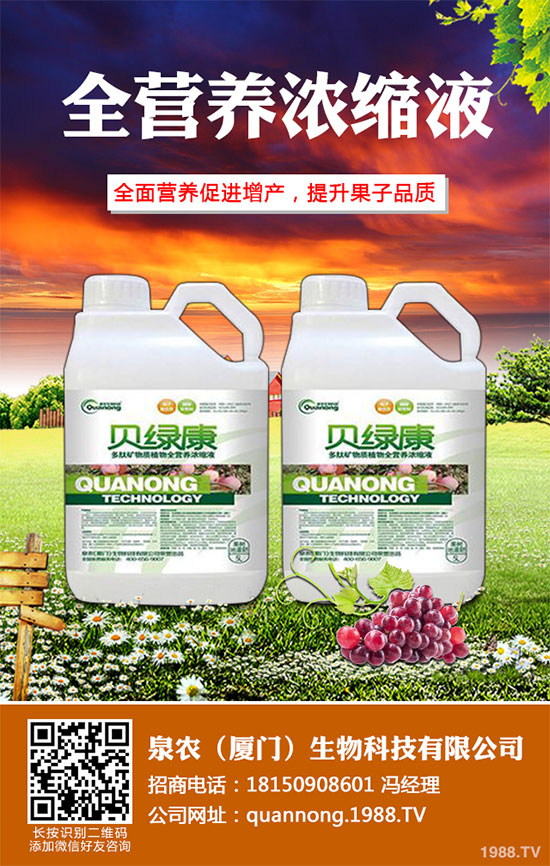 大蔥常見(jiàn)病蟲害有哪些?該如何防治?大蔥病害防治技術(shù)