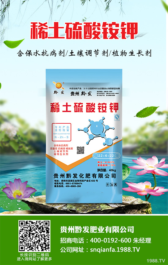 萵苣什么時候種植?萵苣高產(chǎn)種植方案