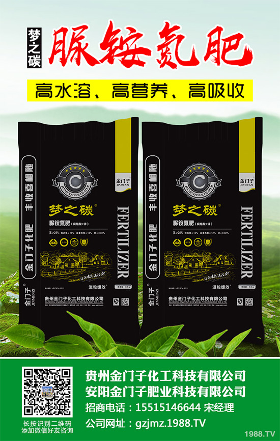 萵苣什么時候種植?萵苣高產(chǎn)種植方案