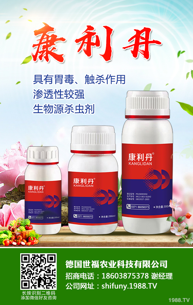 玉米田蟲害怎么辦?玉米田二點(diǎn)委夜蛾防控策略