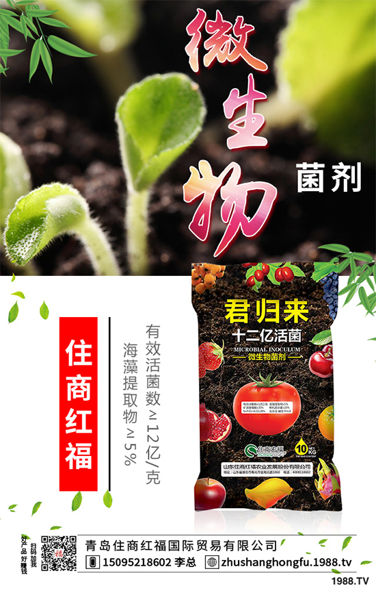 豌豆該怎么施肥?豌豆高產(chǎn)施肥技術