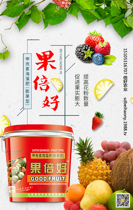 圣女果什么時(shí)間種植?圣女果種植技術(shù)要點(diǎn)有哪些?