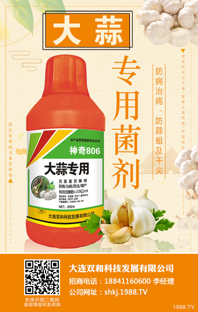 ز粡ηز粡μ
