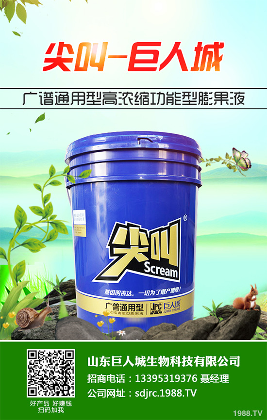 萵苣種植在我國有春茬與秋茬之分,分別使用不同的品種。秋茬品種在較高的溫度條件下,也能形成蓮座葉,然后長(zhǎng)出粗大的莖。那么,萵苣的品種有哪些?怎么種植才好呢?