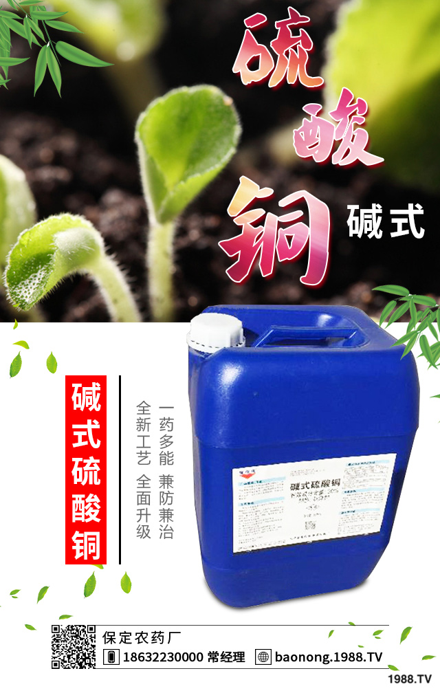 如何巧治蘇鐵葉斑病?蘇鐵葉斑病防治技巧