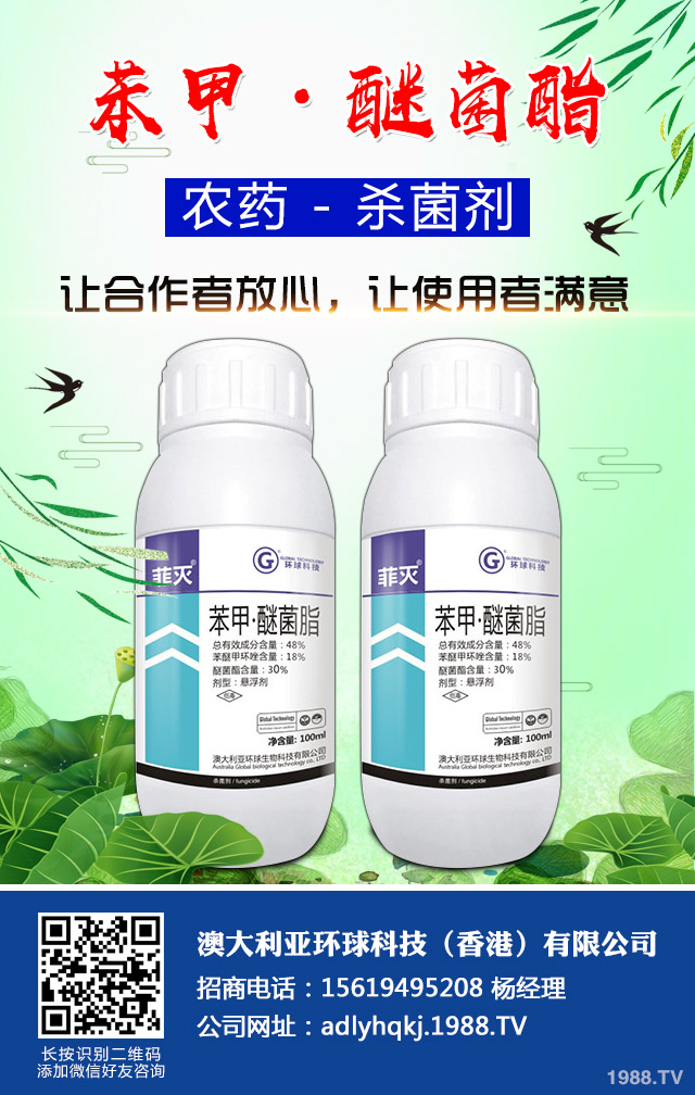 桂花根瘤病怎么辦?桂花根瘤病防治要點