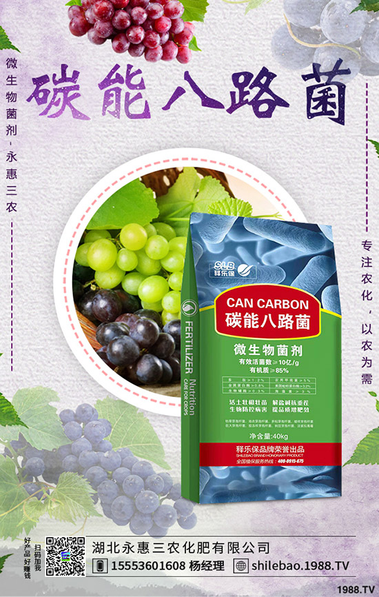 今日鉀肥價(jià)格行情及出廠參考價(jià)一覽日?qǐng)?bào)2019年9月7日