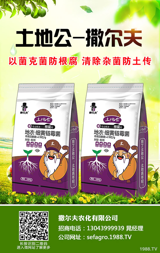 陽(yáng)臺(tái)香蔥如何栽培?新手入手推薦陽(yáng)臺(tái)家庭香蔥種植方法!