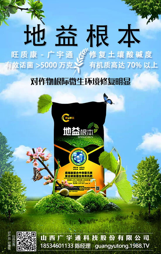 2020߮a(chn)Nֲֵղأ