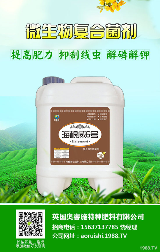 巢蜜的功效與作用是什么,蜂巢蜜的辨別及營養(yǎng)價值!
