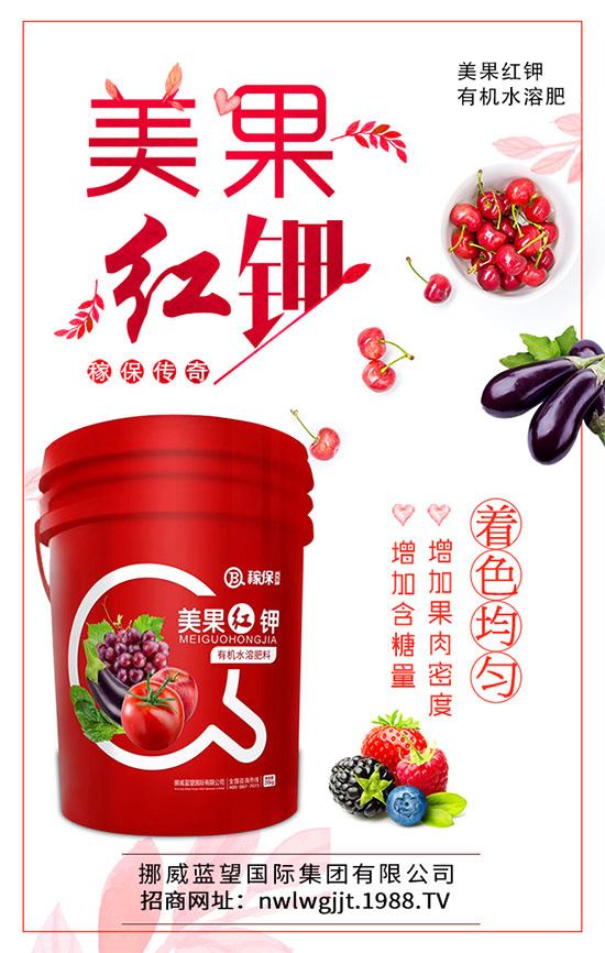茄子炭疽病有哪些危害?茄子炭疽病怎么防治?