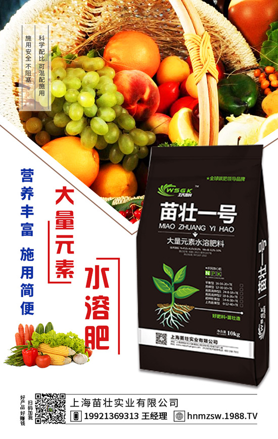 【上海苗壯實(shí)業(yè)】給大家拜年啦!祝您事業(yè)紅火!新年快樂!2020好運(yùn)連連!