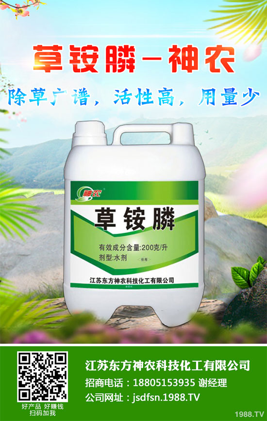 怎么判斷大蔥得了黃矮?大蔥黃矮病防治措施怎么做?