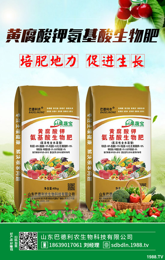 2020年春季馬鈴薯什么時候種植好?播種時間及種植注意事項!