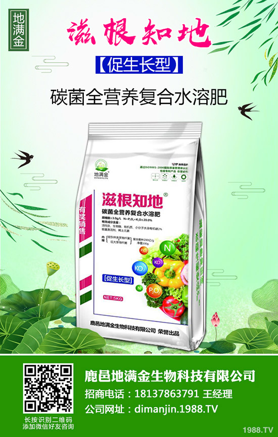 2020年1月3日復(fù)合肥行情依舊平淡!復(fù)合肥最新價(jià)格早報(bào)!