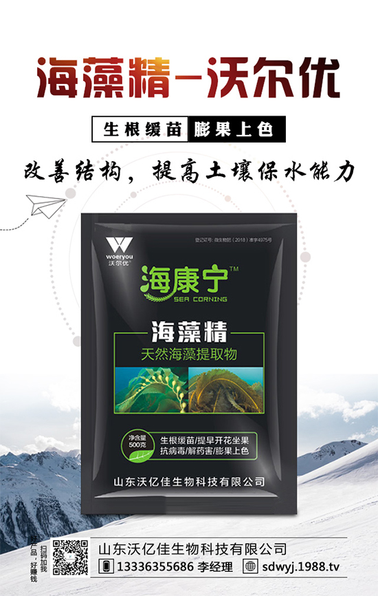 露地辣椒什么時(shí)候種植?露地辣椒高產(chǎn)種植技術(shù)