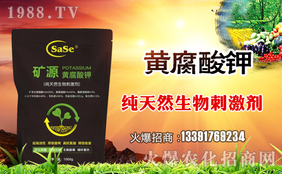 【薩斯商貿(mào)】全體員工祝全國人民在新的一年里鼠年好運,鼠錢沒完!