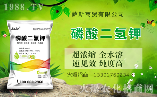 【薩斯商貿(mào)】全體員工祝全國人民在新的一年里鼠年好運,鼠錢沒完!