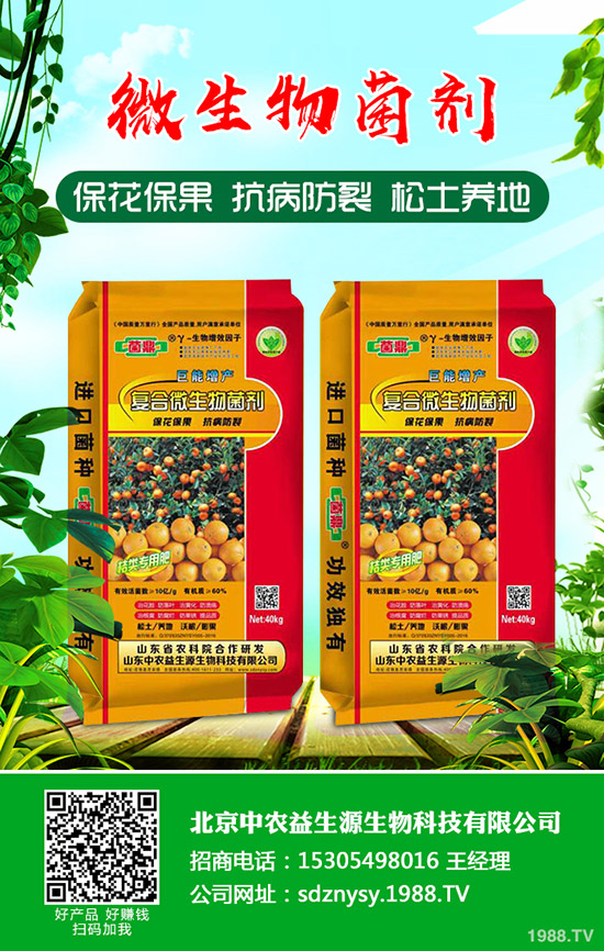 盆栽小香蔥如何種植?盆栽小香蔥種植時間及種植方法!