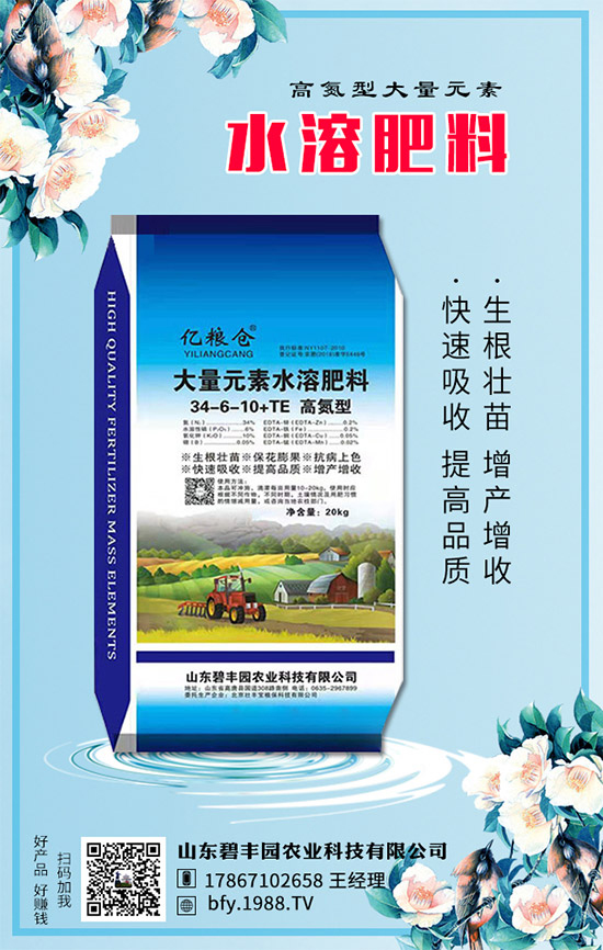 【碧豐園】祝全國朋友新年快樂!鼠年大吉!身體健康!財源廣進!