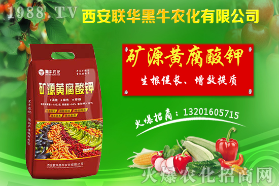 秋季果樹該如何管理?秋季果樹管理應避免的四大誤區(qū)!