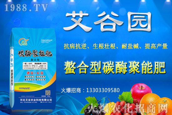大豆價格抬頭還會繼續(xù)漲嗎?2020年秋季大豆價格預測