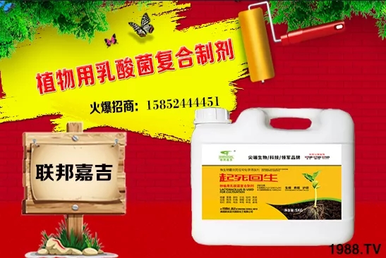 大蔥生長(zhǎng)條件有哪些?大蔥需肥特點(diǎn)及秋季管理!