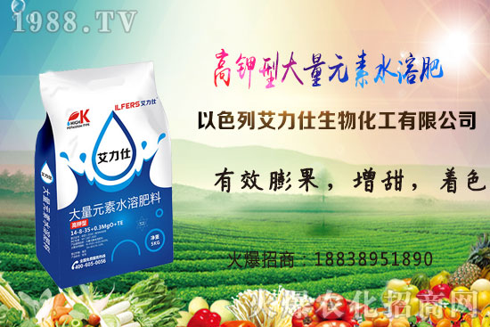 馬鈴薯晚疫病危害有哪些?打什么藥好?馬鈴薯晚疫病防治技術(shù)!