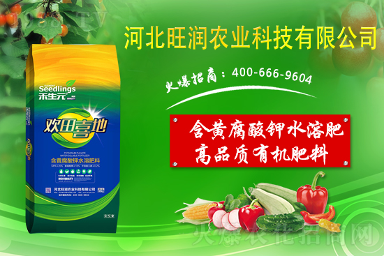 果園反光膜怎么鋪效果好?果園鋪反光膜五要點!